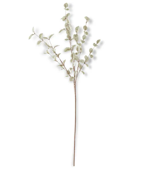 Eucalyptus Stem